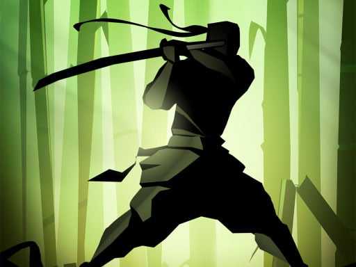 Ninja Warrior Legend of Adven